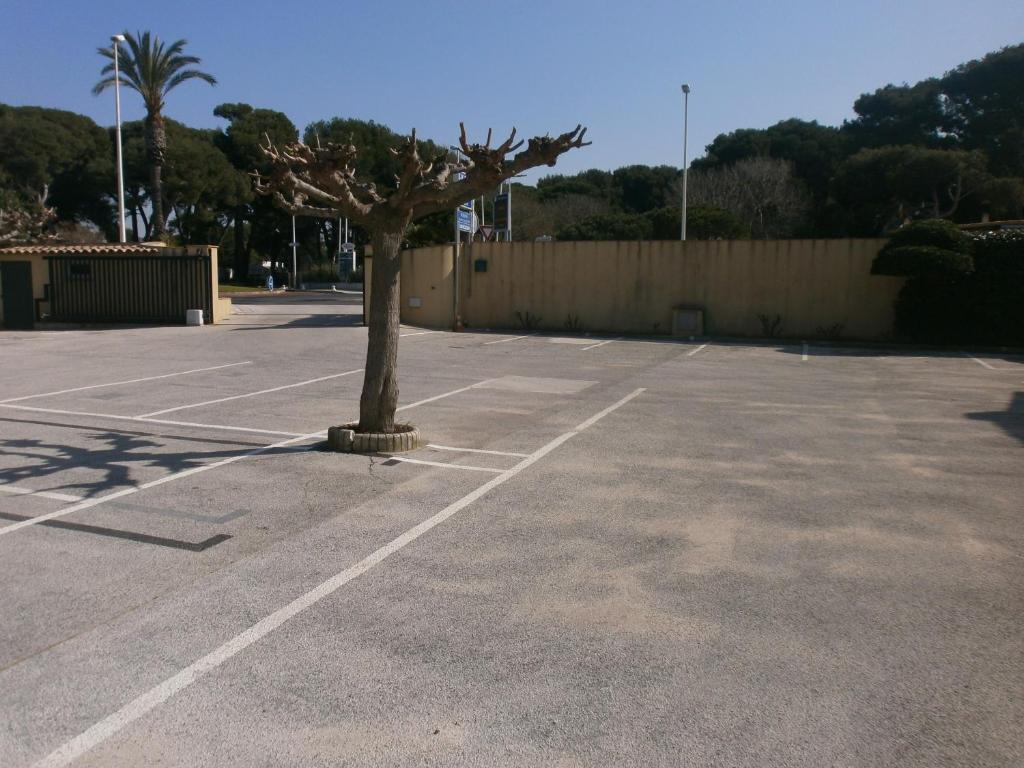 Au Tapis De Sable Hotell Saint-Cyr-sur-Mer Exteriör bild
